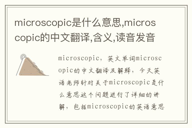 microscopic是什么意思,microscopic的中文翻译,含义,读音发音,用法,造句,参考例句