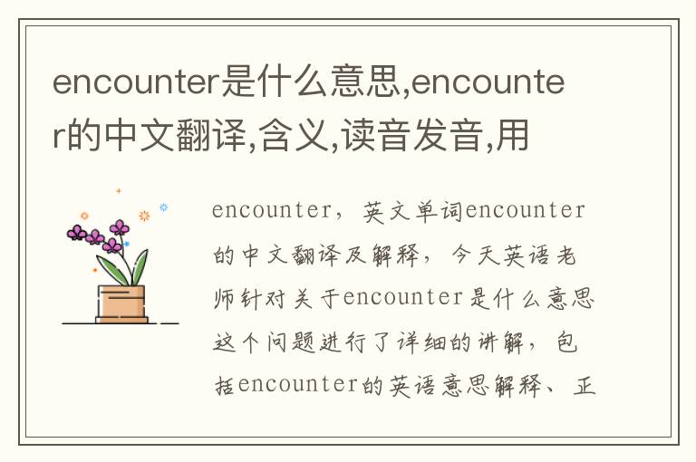 encounter是什么意思,encounter的中文翻译,含义,读音发音,用法,造句,参考例句