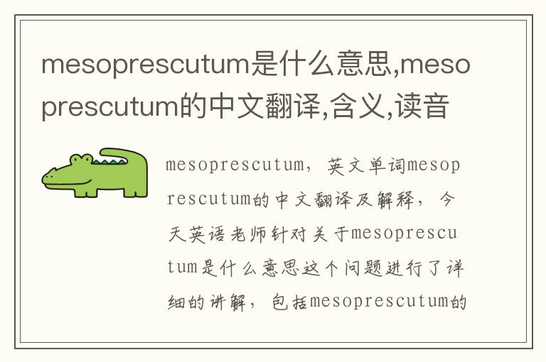 mesoprescutum是什么意思,mesoprescutum的中文翻译,含义,读音发音,用法,造句,参考例句