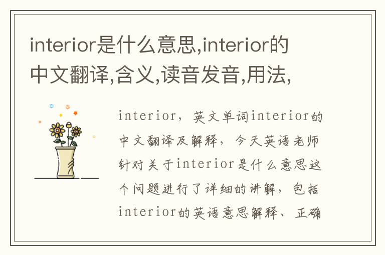 interior是什么意思,interior的中文翻译,含义,读音发音,用法,造句,参考例句