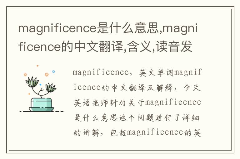 magnificence是什么意思,magnificence的中文翻译,含义,读音发音,用法,造句,参考例句