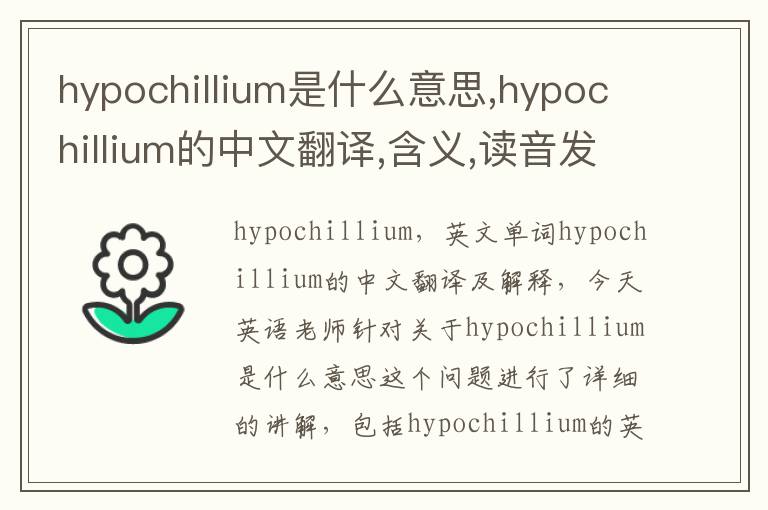 hypochillium是什么意思,hypochillium的中文翻译,含义,读音发音,用法,造句,参考例句