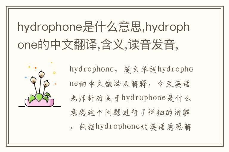 hydrophone是什么意思,hydrophone的中文翻译,含义,读音发音,用法,造句,参考例句