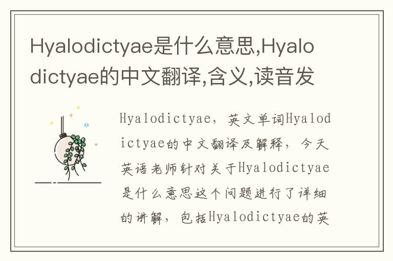 Hyalodictyae是什么意思,Hyalodictyae的中文翻译,含义,读音发音,用法,造句,参考例句