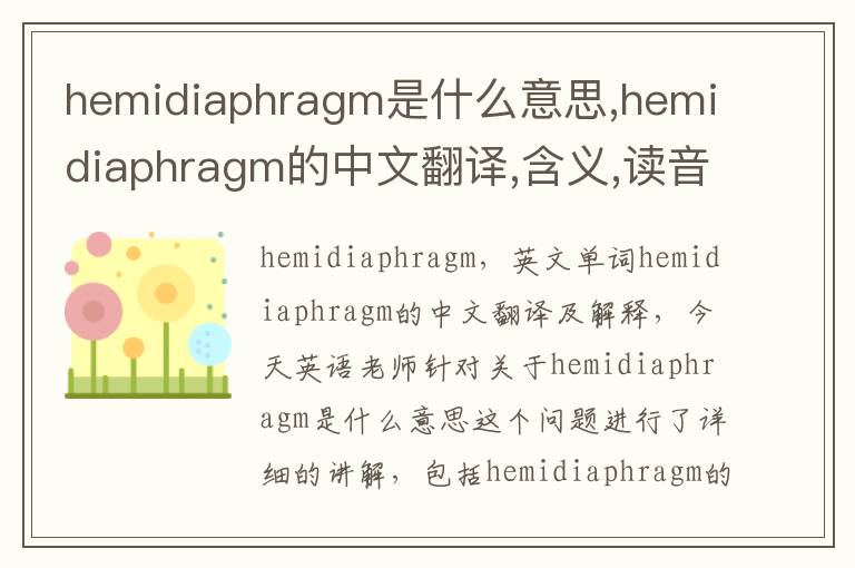 hemidiaphragm是什么意思,hemidiaphragm的中文翻译,含义,读音发音,用法,造句,参考例句