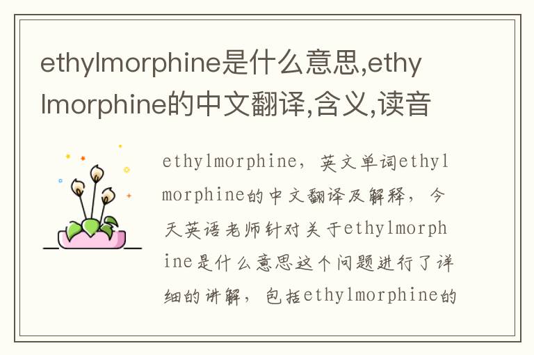 ethylmorphine是什么意思,ethylmorphine的中文翻译,含义,读音发音,用法,造句,参考例句