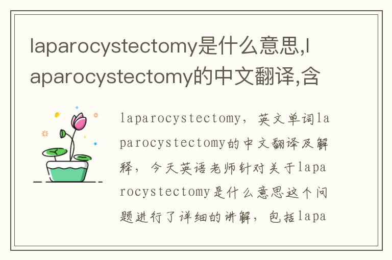 laparocystectomy是什么意思,laparocystectomy的中文翻译,含义,读音发音,用法,造句,参考例句