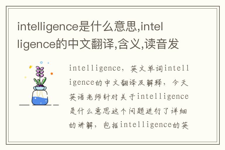 intelligence是什么意思,intelligence的中文翻译,含义,读音发音,用法,造句,参考例句