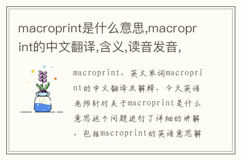 macroprint是什么意思,macroprint的中文翻译,含义,读音发音,用法,造句,参考例句