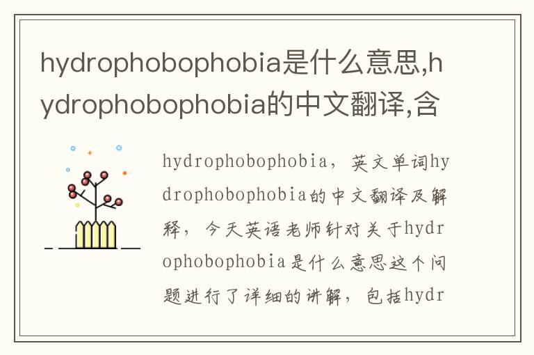 hydrophobophobia是什么意思,hydrophobophobia的中文翻译,含义,读音发音,用法,造句,参考例句