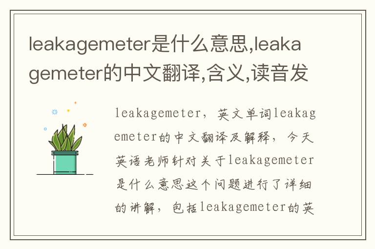 leakagemeter是什么意思,leakagemeter的中文翻译,含义,读音发音,用法,造句,参考例句