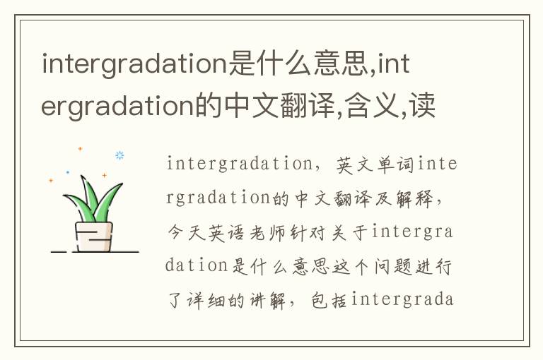 intergradation是什么意思,intergradation的中文翻译,含义,读音发音,用法,造句,参考例句