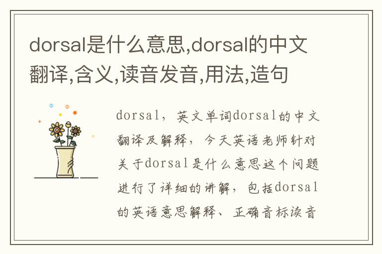 dorsal是什么意思,dorsal的中文翻译,含义,读音发音,用法,造句,参考例句