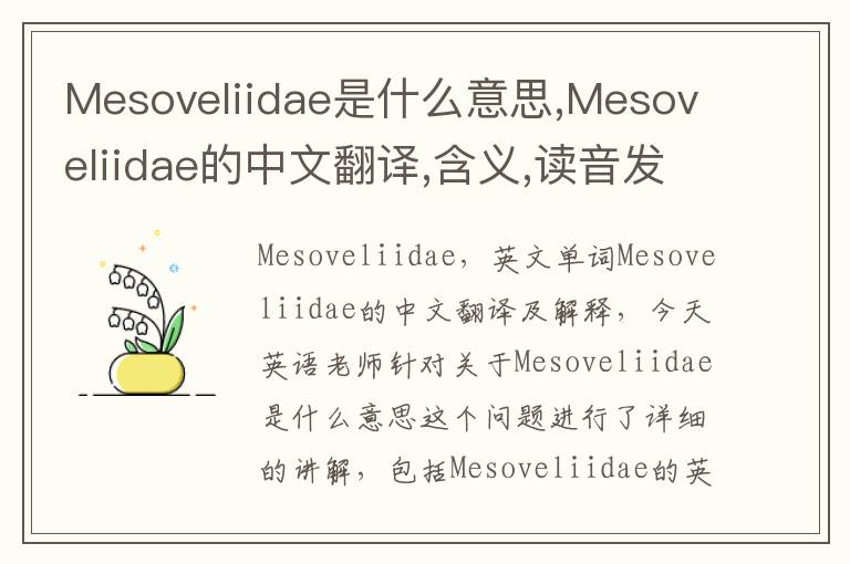 Mesoveliidae是什么意思,Mesoveliidae的中文翻译,含义,读音发音,用法,造句,参考例句