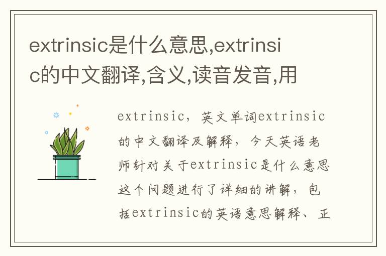 extrinsic是什么意思,extrinsic的中文翻译,含义,读音发音,用法,造句,参考例句