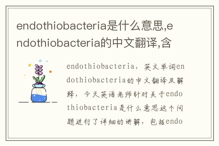 endothiobacteria是什么意思,endothiobacteria的中文翻译,含义,读音发音,用法,造句,参考例句