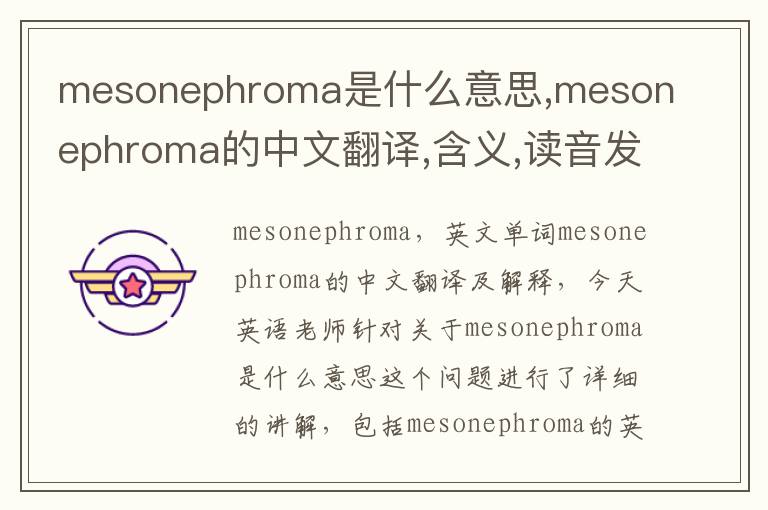 mesonephroma是什么意思,mesonephroma的中文翻译,含义,读音发音,用法,造句,参考例句