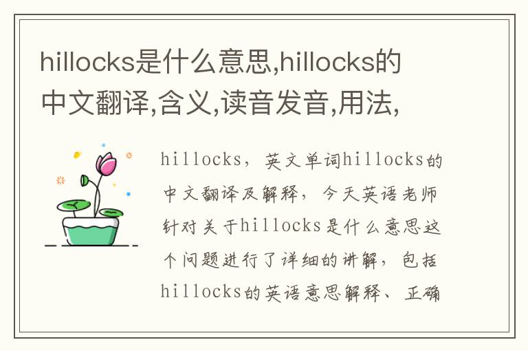 hillocks是什么意思,hillocks的中文翻译,含义,读音发音,用法,造句,参考例句