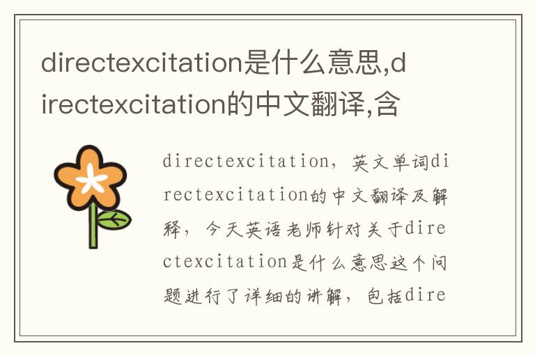 directexcitation是什么意思,directexcitation的中文翻译,含义,读音发音,用法,造句,参考例句