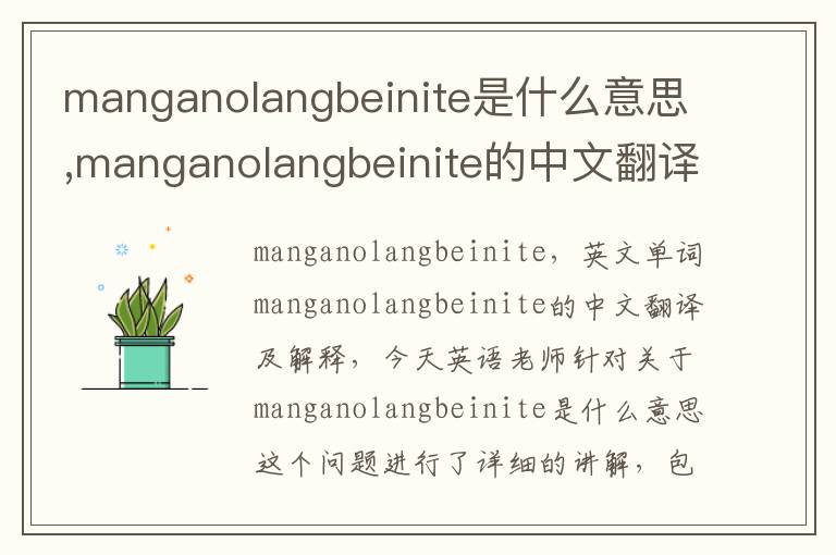 manganolangbeinite是什么意思,manganolangbeinite的中文翻译,含义,读音发音,用法,造句,参考例句