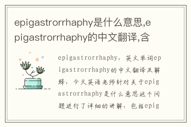 epigastrorrhaphy是什么意思,epigastrorrhaphy的中文翻译,含义,读音发音,用法,造句,参考例句