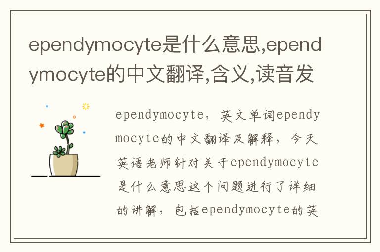 ependymocyte是什么意思,ependymocyte的中文翻译,含义,读音发音,用法,造句,参考例句