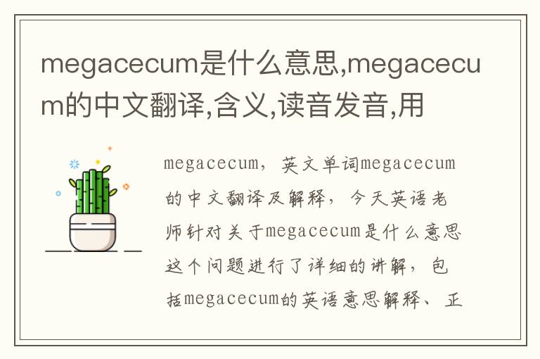 megacecum是什么意思,megacecum的中文翻译,含义,读音发音,用法,造句,参考例句