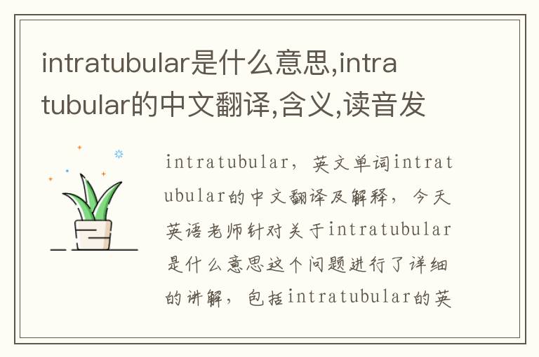 intratubular是什么意思,intratubular的中文翻译,含义,读音发音,用法,造句,参考例句