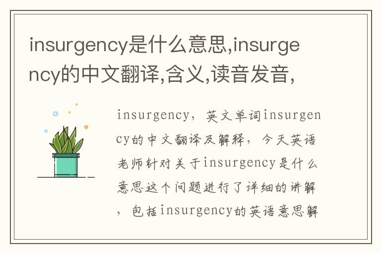 insurgency是什么意思,insurgency的中文翻译,含义,读音发音,用法,造句,参考例句