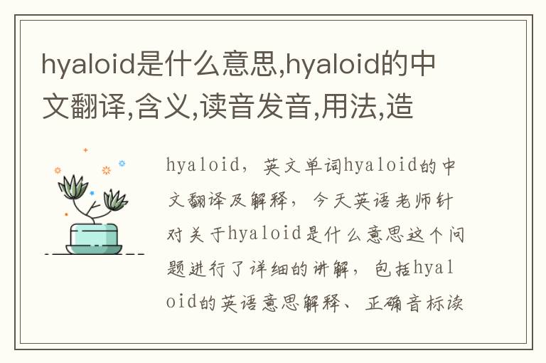 hyaloid是什么意思,hyaloid的中文翻译,含义,读音发音,用法,造句,参考例句