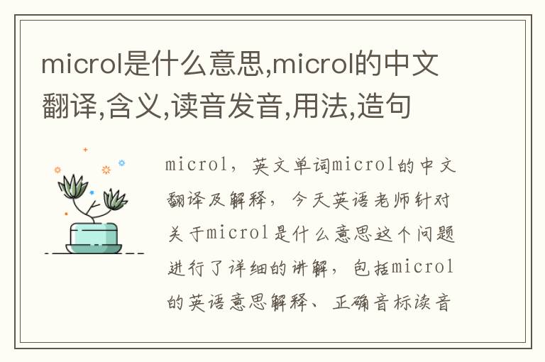 microl是什么意思,microl的中文翻译,含义,读音发音,用法,造句,参考例句