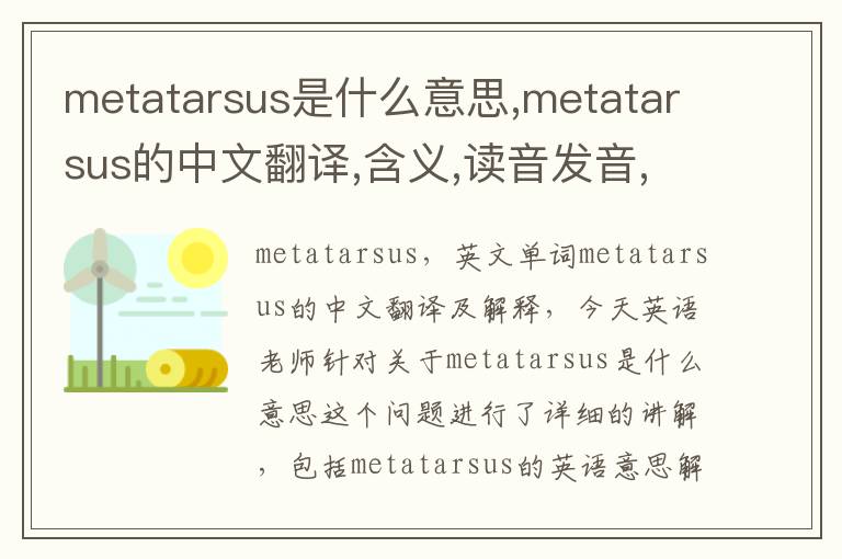 metatarsus是什么意思,metatarsus的中文翻译,含义,读音发音,用法,造句,参考例句