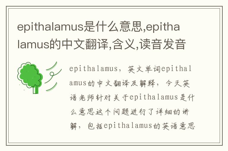 epithalamus是什么意思,epithalamus的中文翻译,含义,读音发音,用法,造句,参考例句