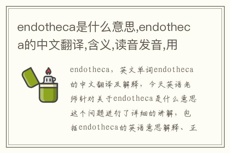 endotheca是什么意思,endotheca的中文翻译,含义,读音发音,用法,造句,参考例句