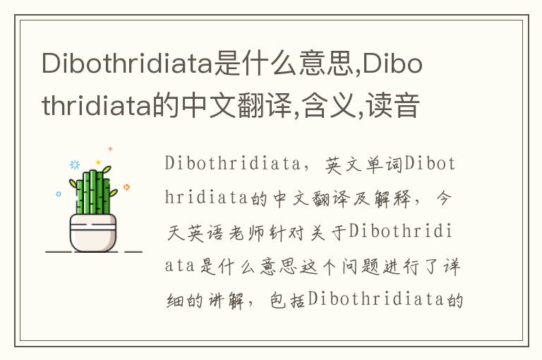 Dibothridiata是什么意思,Dibothridiata的中文翻译,含义,读音发音,用法,造句,参考例句