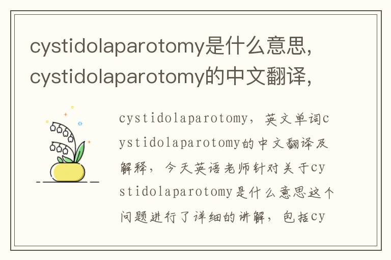 cystidolaparotomy是什么意思,cystidolaparotomy的中文翻译,含义,读音发音,用法,造句,参考例句