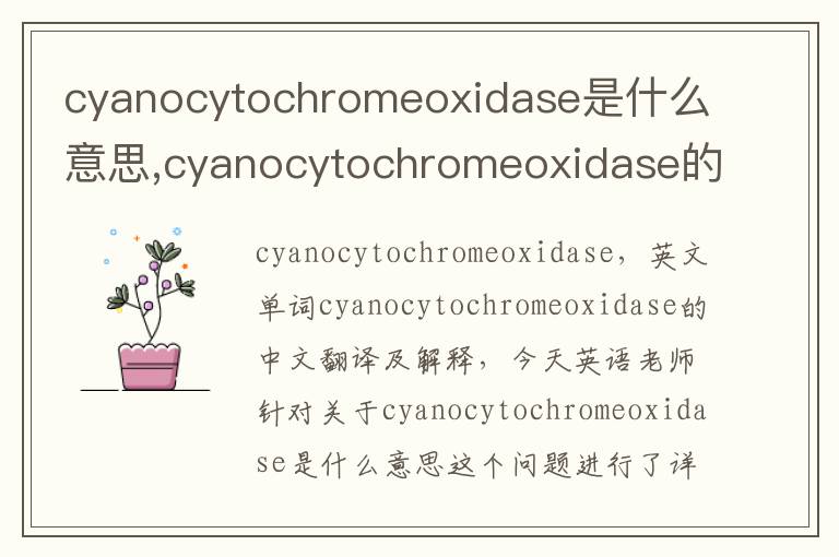 cyanocytochromeoxidase是什么意思,cyanocytochromeoxidase的中文翻译,含义,读音发音,用法,造句,参考例句