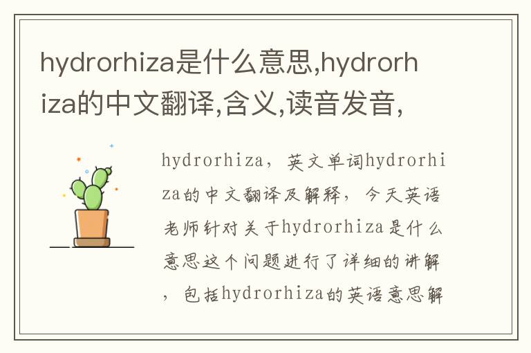 hydrorhiza是什么意思,hydrorhiza的中文翻译,含义,读音发音,用法,造句,参考例句