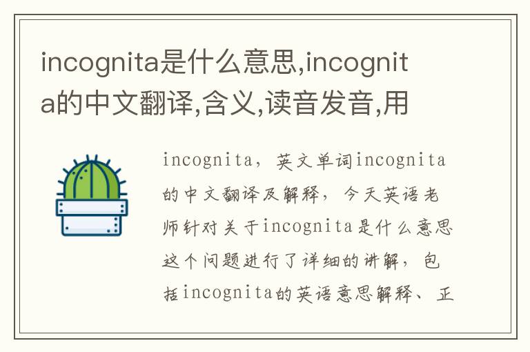 incognita是什么意思,incognita的中文翻译,含义,读音发音,用法,造句,参考例句