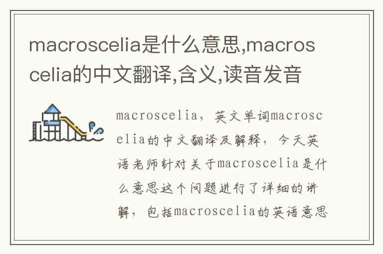 macroscelia是什么意思,macroscelia的中文翻译,含义,读音发音,用法,造句,参考例句