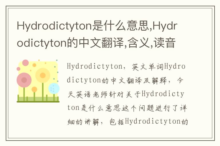 Hydrodictyton是什么意思,Hydrodictyton的中文翻译,含义,读音发音,用法,造句,参考例句