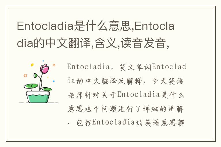 Entocladia是什么意思,Entocladia的中文翻译,含义,读音发音,用法,造句,参考例句