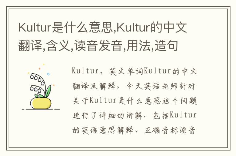 Kultur是什么意思,Kultur的中文翻译,含义,读音发音,用法,造句,参考例句