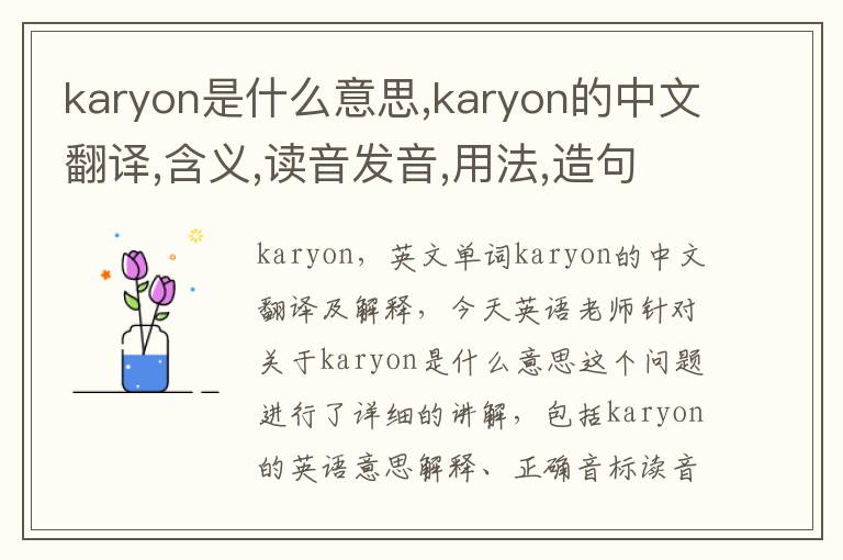 karyon是什么意思,karyon的中文翻译,含义,读音发音,用法,造句,参考例句