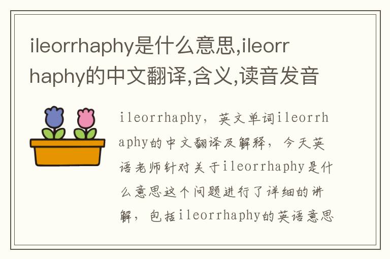 ileorrhaphy是什么意思,ileorrhaphy的中文翻译,含义,读音发音,用法,造句,参考例句