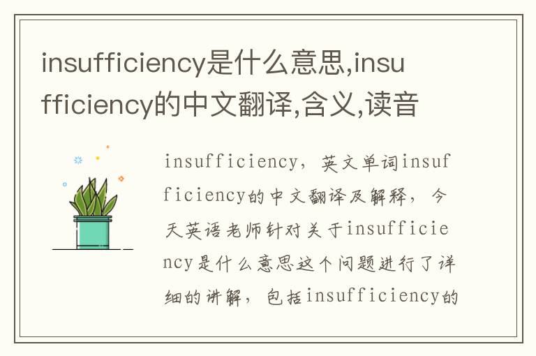 insufficiency是什么意思,insufficiency的中文翻译,含义,读音发音,用法,造句,参考例句