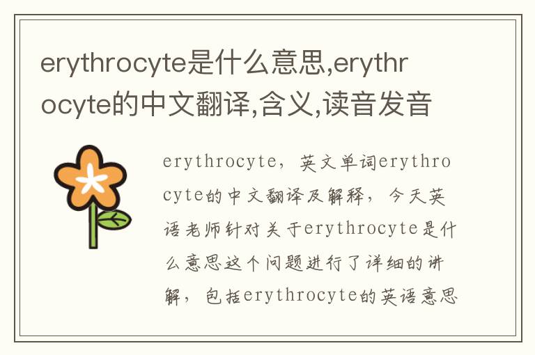 erythrocyte是什么意思,erythrocyte的中文翻译,含义,读音发音,用法,造句,参考例句