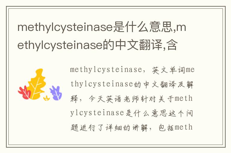 methylcysteinase是什么意思,methylcysteinase的中文翻译,含义,读音发音,用法,造句,参考例句