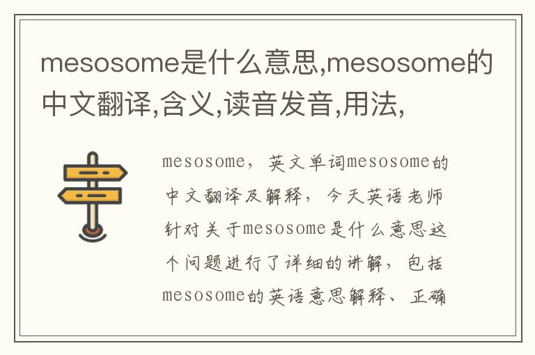 mesosome是什么意思,mesosome的中文翻译,含义,读音发音,用法,造句,参考例句