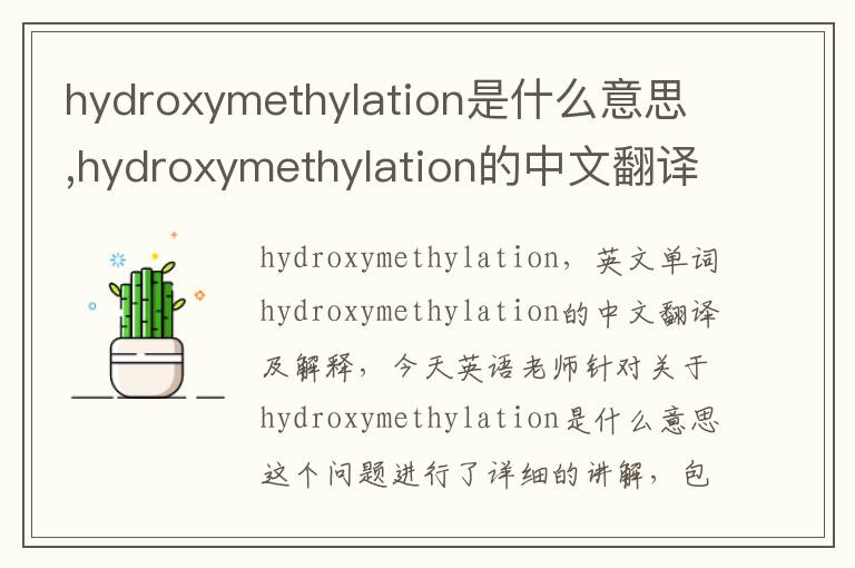 hydroxymethylation是什么意思,hydroxymethylation的中文翻译,含义,读音发音,用法,造句,参考例句